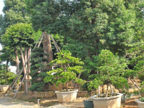 ������������