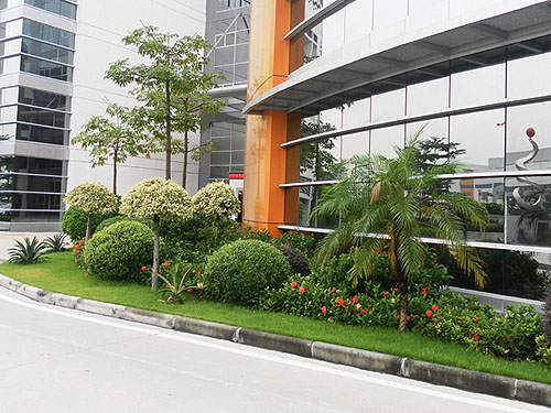 ���������̻�