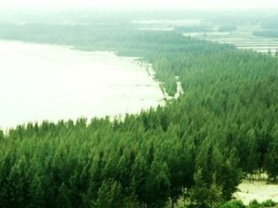 �����̵ع���