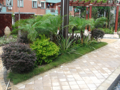 ��ɽ�������幫��