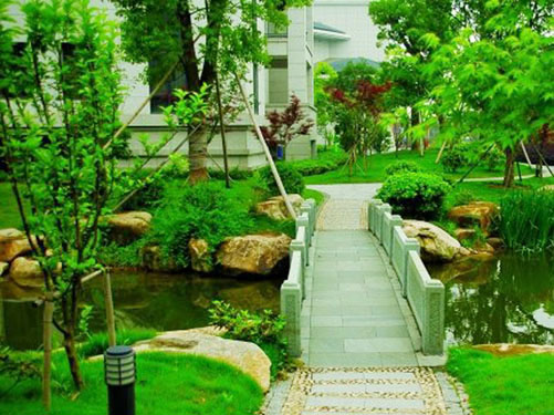 ��ͥ�㳡-�����ʦ