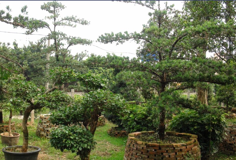 �����޺���