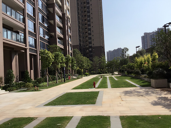 �����������۹���